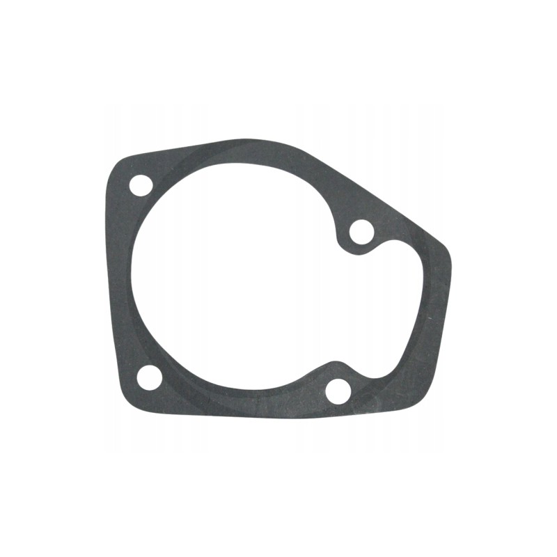 Water pump gasket 80017012