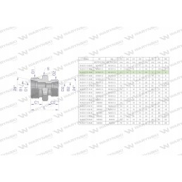 Hydraulic connector bb m16x1 5 m14x1 5 Warynski