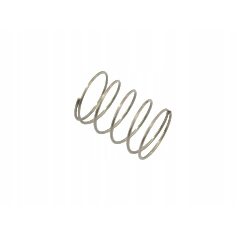 Pump valve spring 4002040110