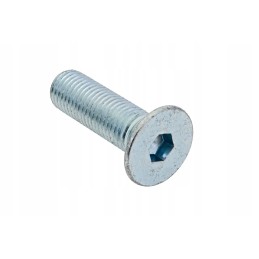 07 02 0300 Allen screw, chiseled m16
