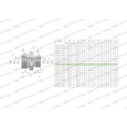Hydraulic connector bb m26x1 5 m16x1 5 Warynski