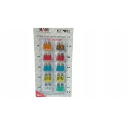 Set of 10 plate fuses