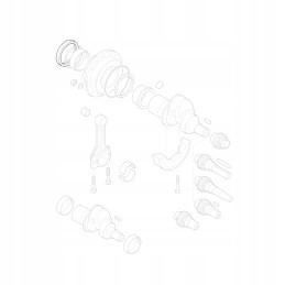 Hatz 50362701 shaft seal 1d81