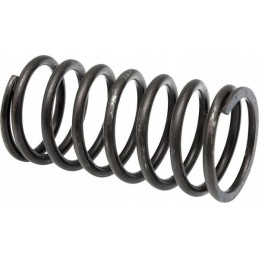 Head valve spring c 330 26900050001090
