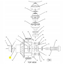 Seal fight attack cat oem