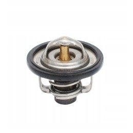 Cat mini excavator thermostat