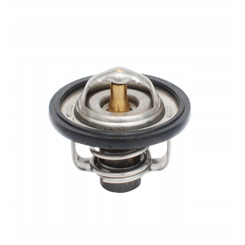 Cat mini excavator thermostat