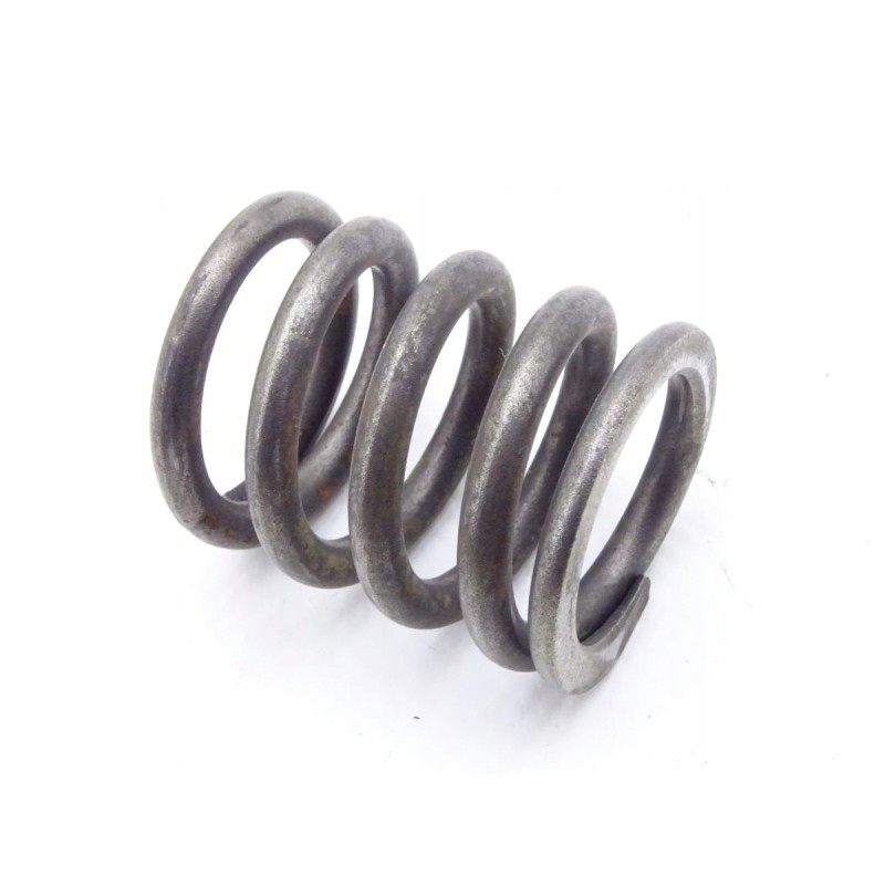 Vm motori 64b 4 schmidt swingo valve spring