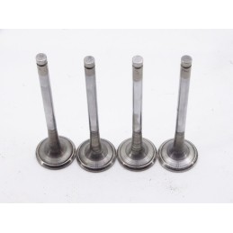 Vm motori 64b 4 schmidt swingo exhaust valve