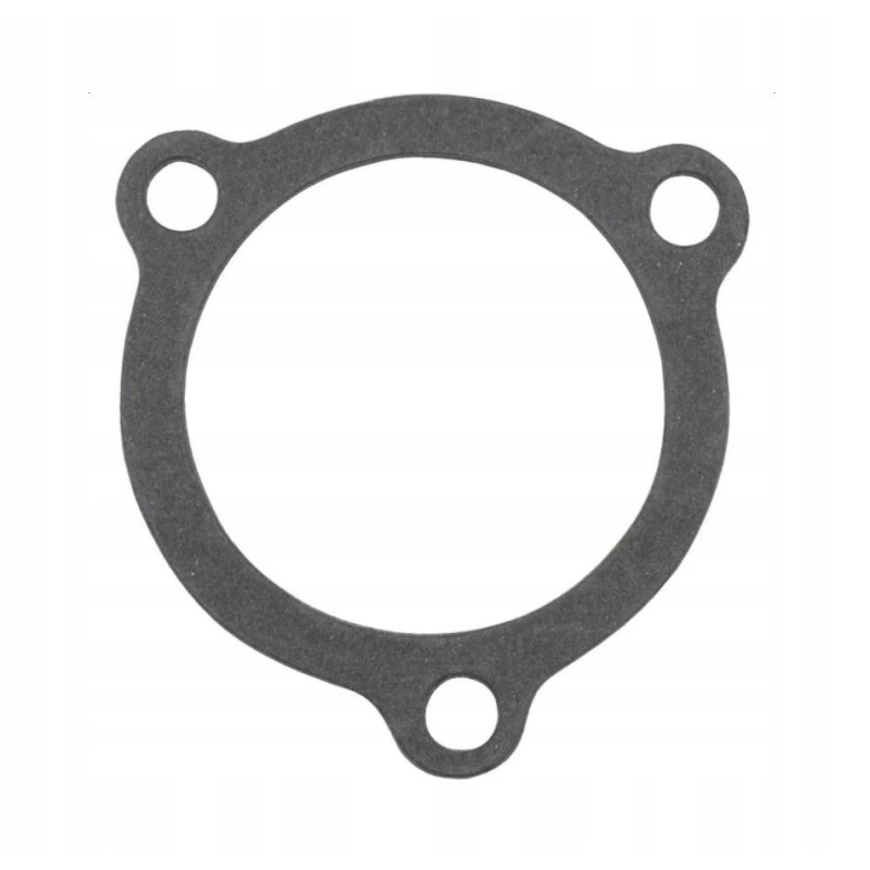 Thermostat body gasket c 330