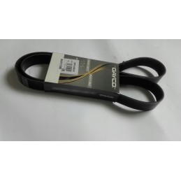 Dayco 8pk1440hd multi V-belt