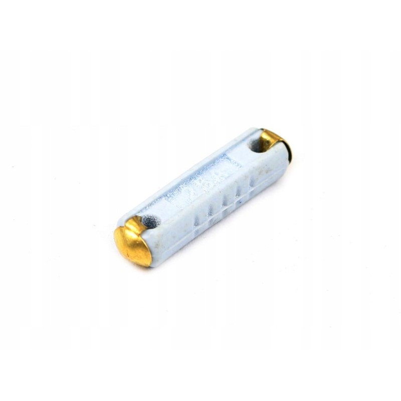 Cylindrical ceramic fuse 25a 10 pcs
