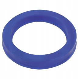 Cylinder seal 45x60x10