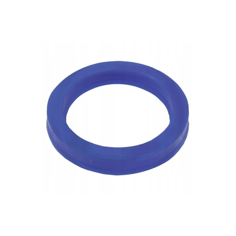 Cylinder seal 45x60x10