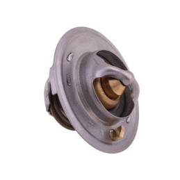 Thermostat 6005012123 Renault Polmo