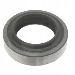 Massey Ferguson PTO shaft seal