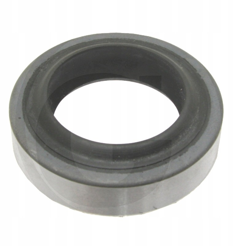 Massey Ferguson PTO shaft seal