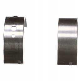 Set of cnh new holland std bearings 500055813