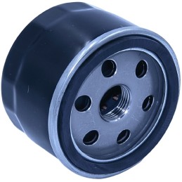 Briggs stratton oil filter 492932