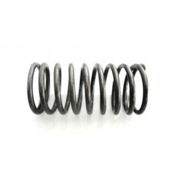 Outer valve spring t 25 d37e1007