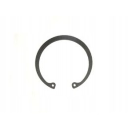 60th century seger ring