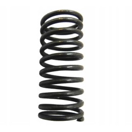 Feed pump piston spring c360c 330 v230200