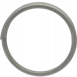 Pierscien 395204044 walterscheid