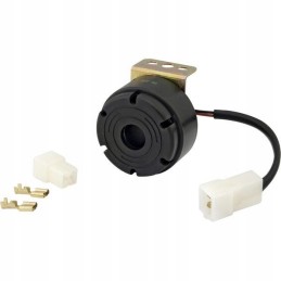 Reversing signal 12v 24v