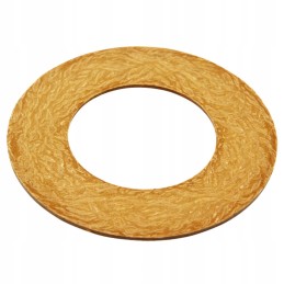 Friction disc bondioli pavesi 160 97 mm