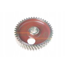 Timing gear 950424 55010421 zetor
