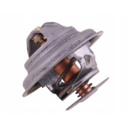 Thermostat 4224639m1 landini polmo