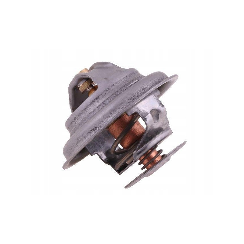 Thermostat 4224639m1 landini polmo