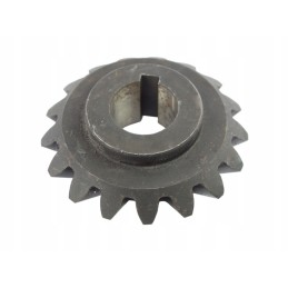 Gear bevel gear from 17 2012030070
