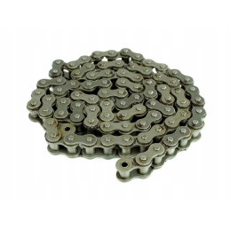 Screw conveyor drive chain 619234