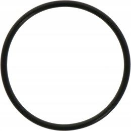 Differential piston O-ring 3019927x1