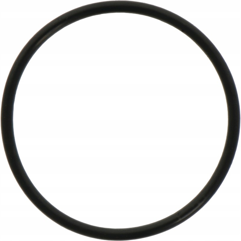 Differential piston O-ring 3019927x1