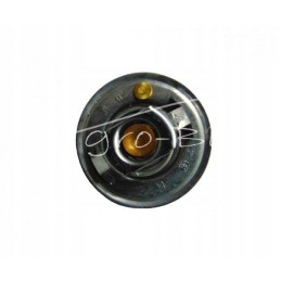 Thermostat case 895311h1 3118127r1