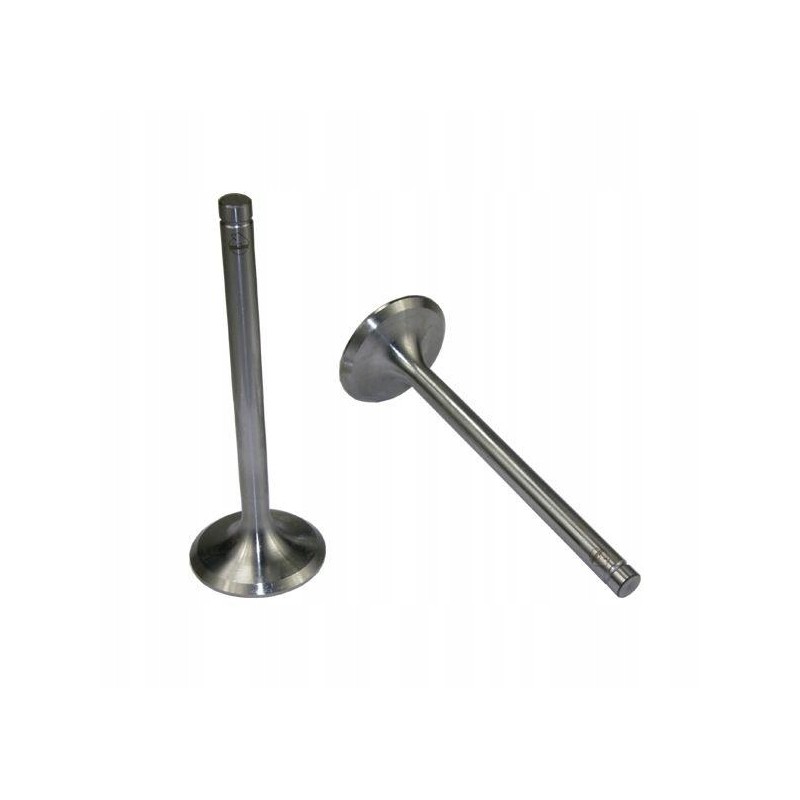 Standard suction valve C 385 original Ursus