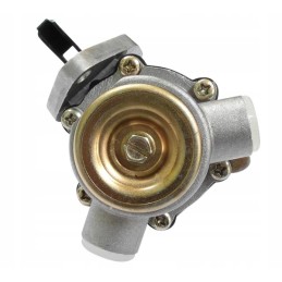 Complete Deutz Fendt fuel pump