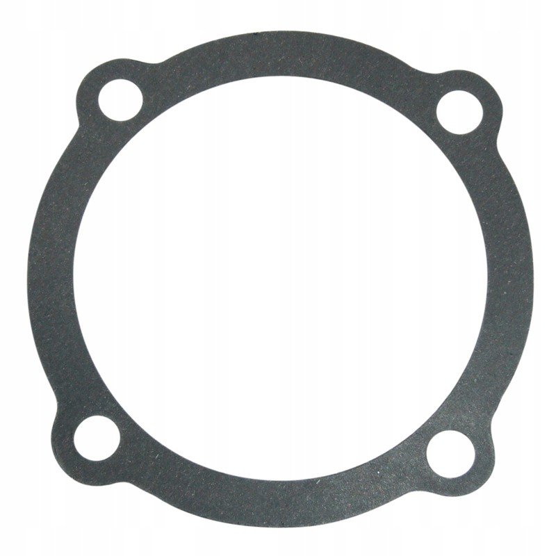 Rear axle seal 80153047