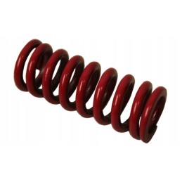 Clutch pressure spring mf4 886396m1