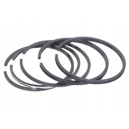 26900050733001 piston rings set