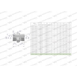 Metric hydraulic connection bb xge m30x2 22