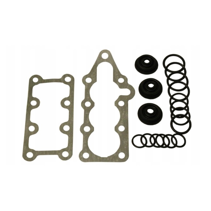 Distributor repair kit r80 section 306 rk m
