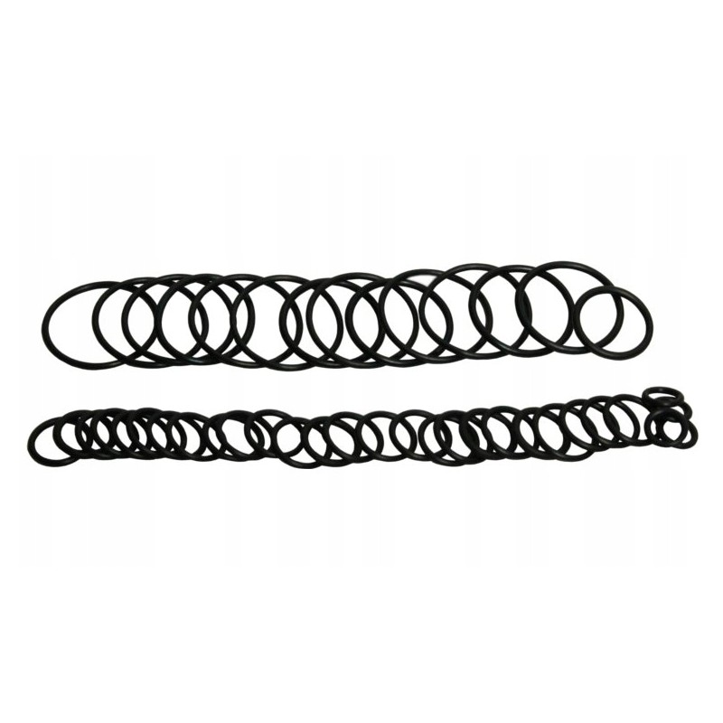 Bizon hydraulic distributor repair kit