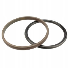 Lifter piston seal kit 1665684m91