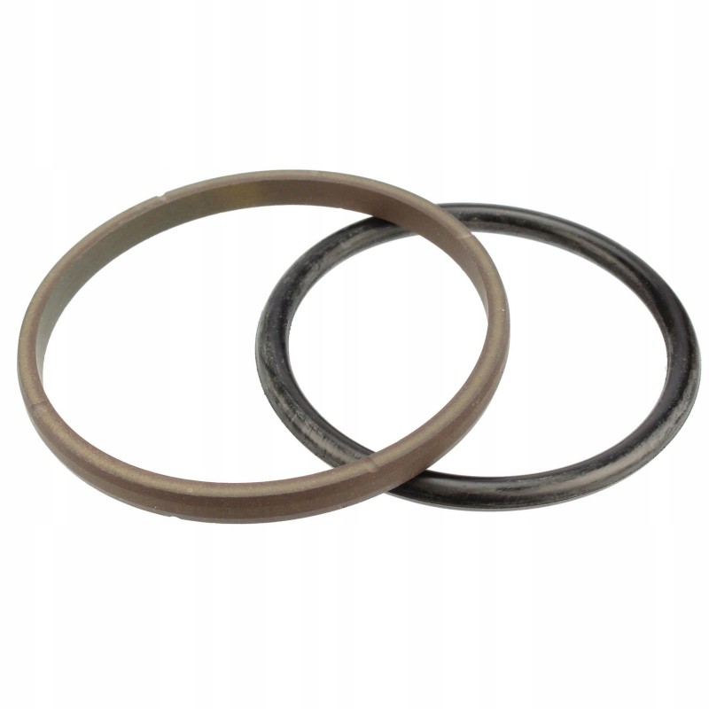 Lifter piston seal kit 1665684m91