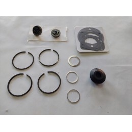 Fortschritt ifa compressor rings