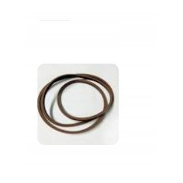 Sealing ring 5105536