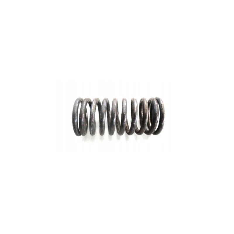 Valve spring internal t 25 d37e1007
